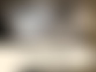 Préhistoire: Art et Artefacts de France @ Tūhura