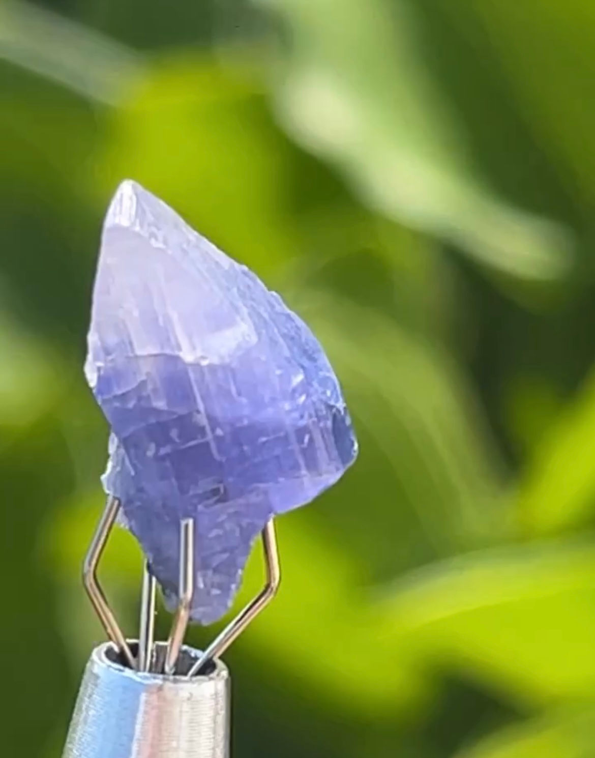 Tanzanite 