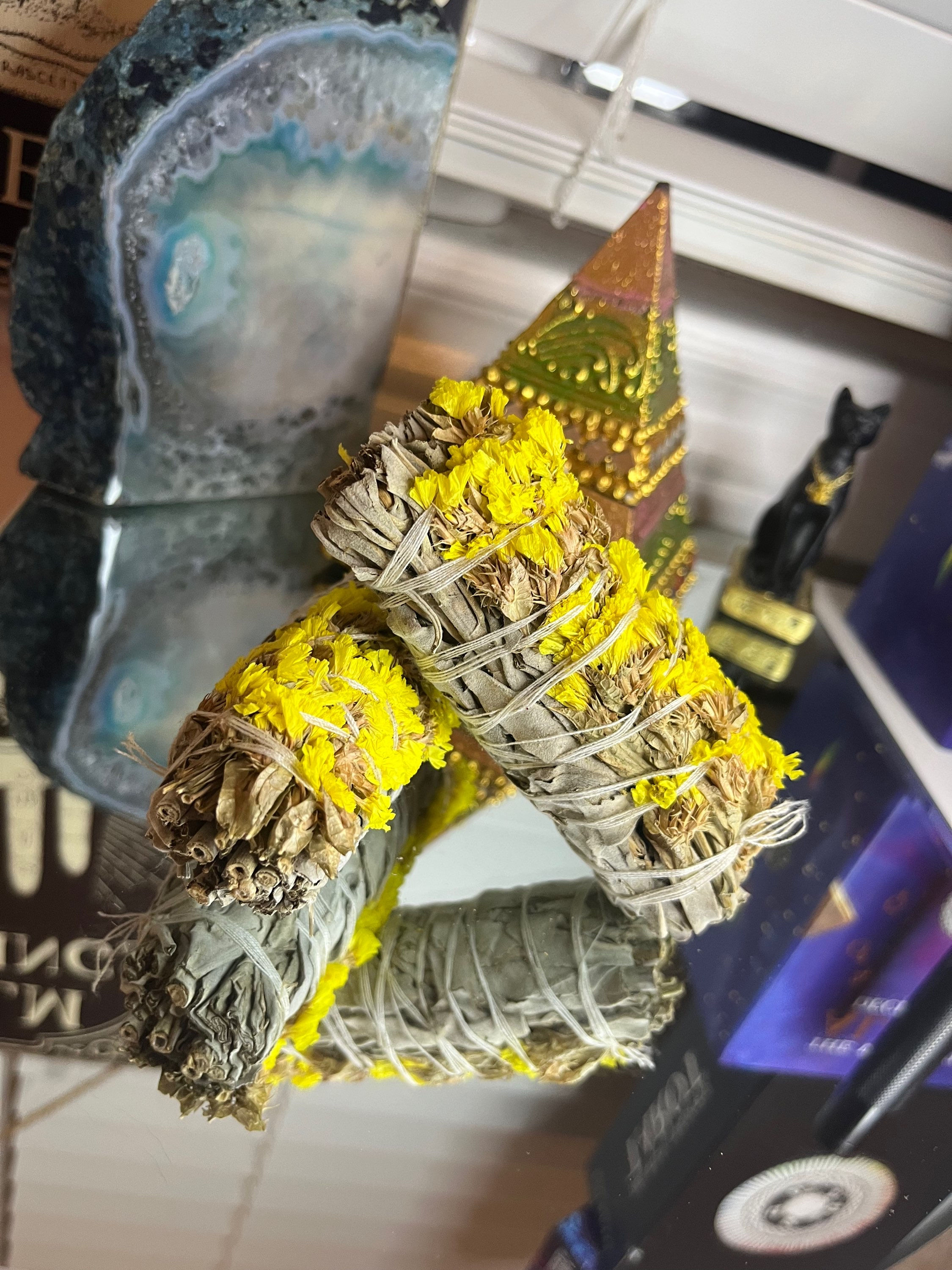 4” Yellow Sinuata + White Sage 