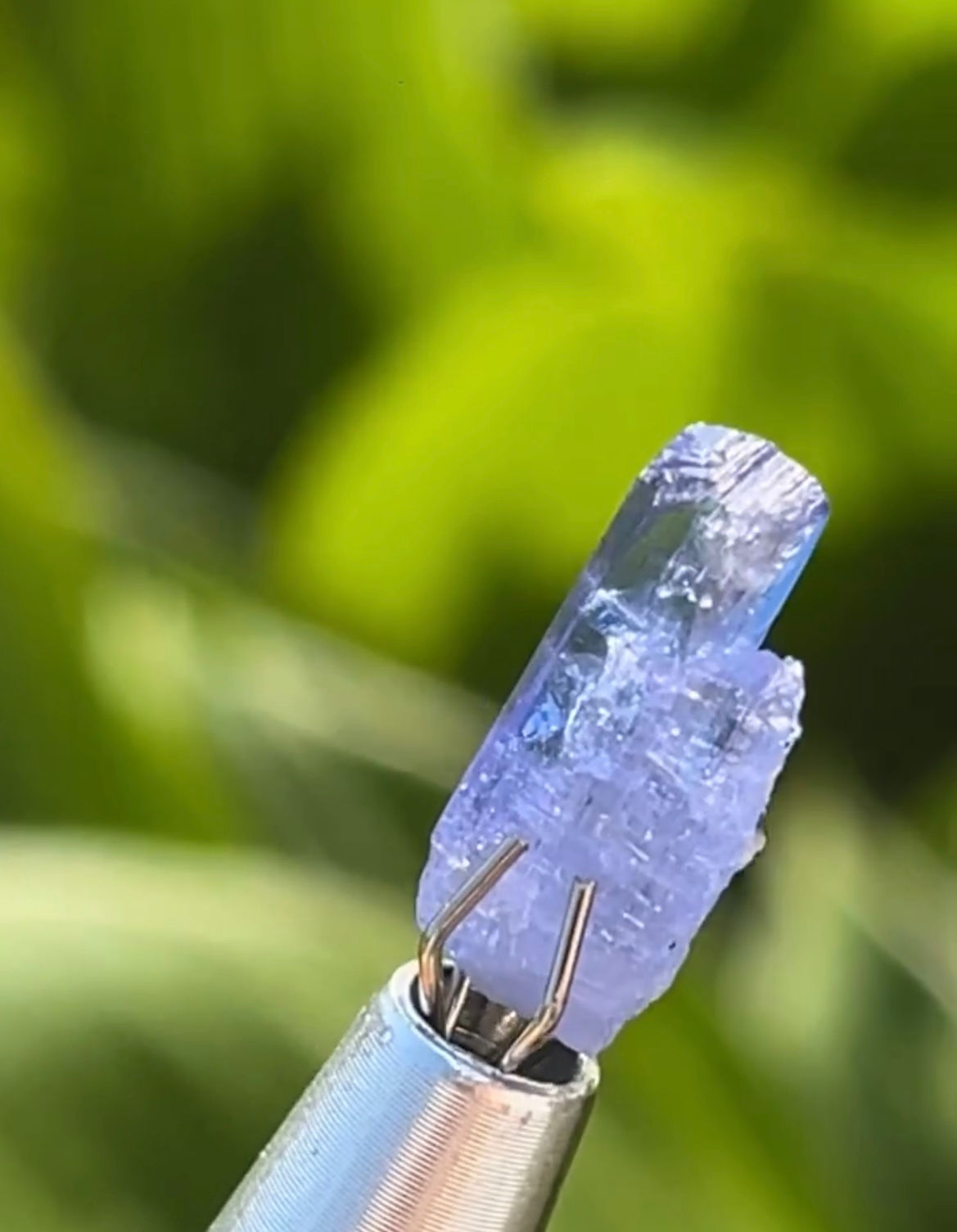 Tanzanite 