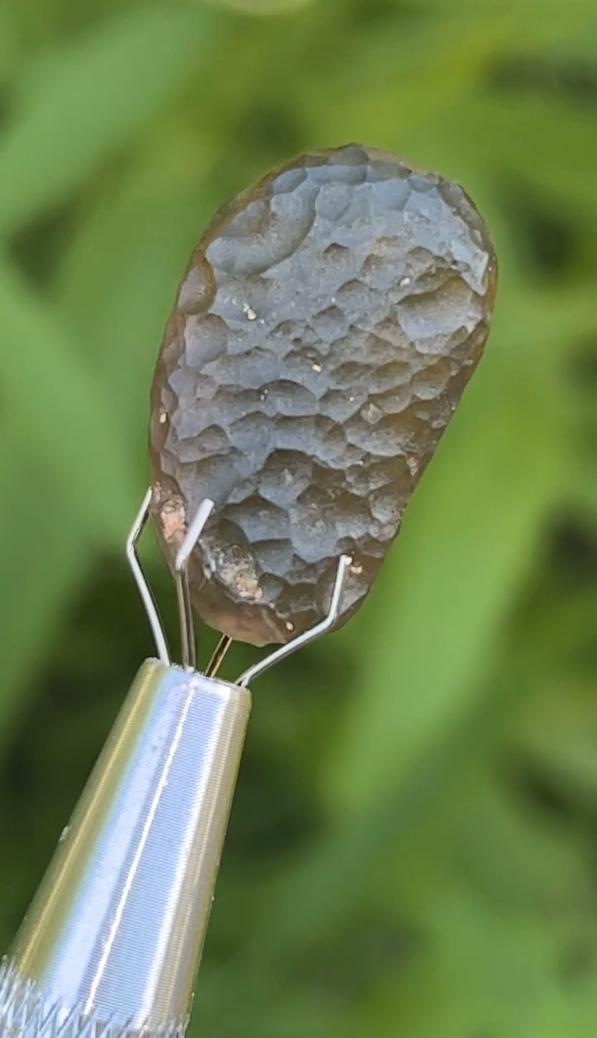 Colombianite Tektite 