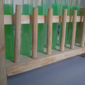 Seawater Quality in Mertasari and Serangan Beaches Requires Serious Attention: Findings of Coliform and pH Imbalance