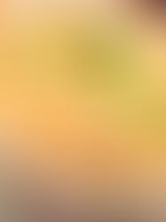 White Beans Chicken Soup