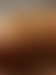 Banana Bread cu Migdale si Banana Caramelizata 