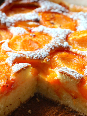 Old-Fashioned Apricot Square