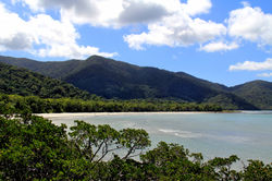 Cape Tribulation