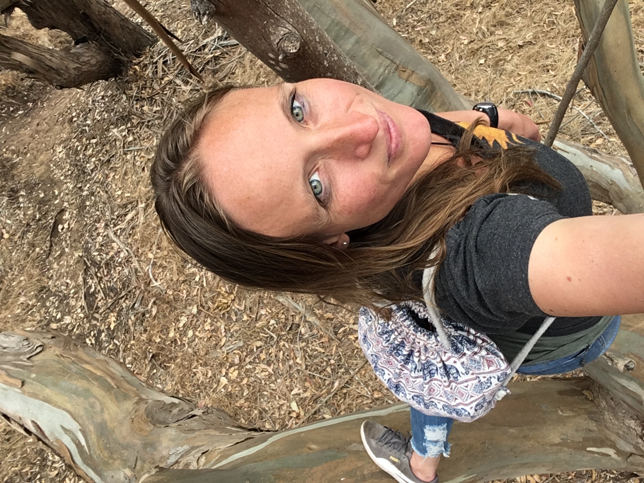 Writer: Greetings from Charlotte