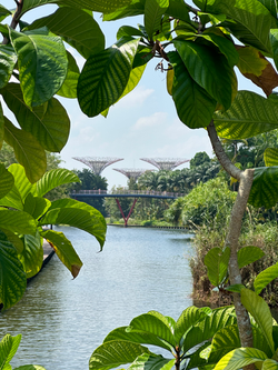 Gardens By The Bay Singapore