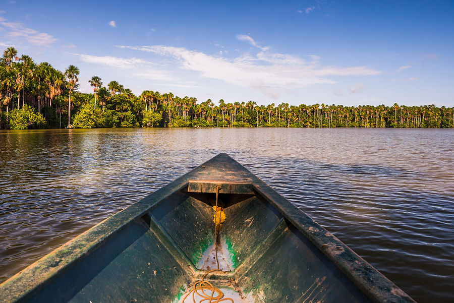 canoe-boat-trip-on-sandoval-lake-tambopata-nation-2022-03-08-18-29-21-utc.jpg