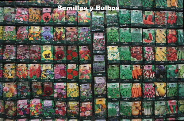 Semiilas y bulbos