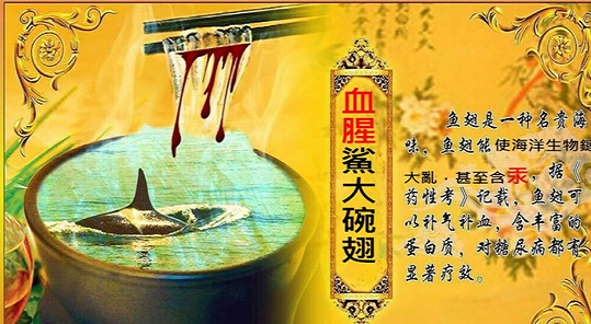 反堵文本- 魚翅廣告沒有告訴你的事