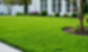 Picture of a nice manicured lawn.jpg