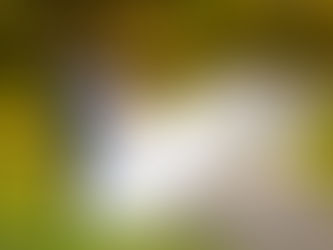 Anslove & Elie Lac Leamy Mariage