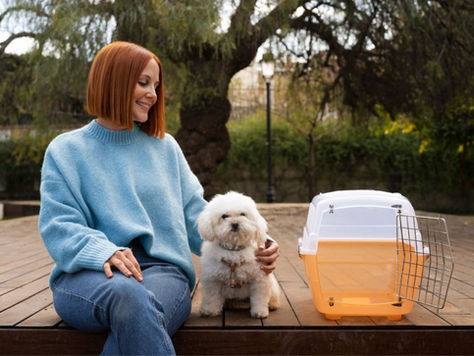 How Domestic Pet Shipping Works in the U.S. 