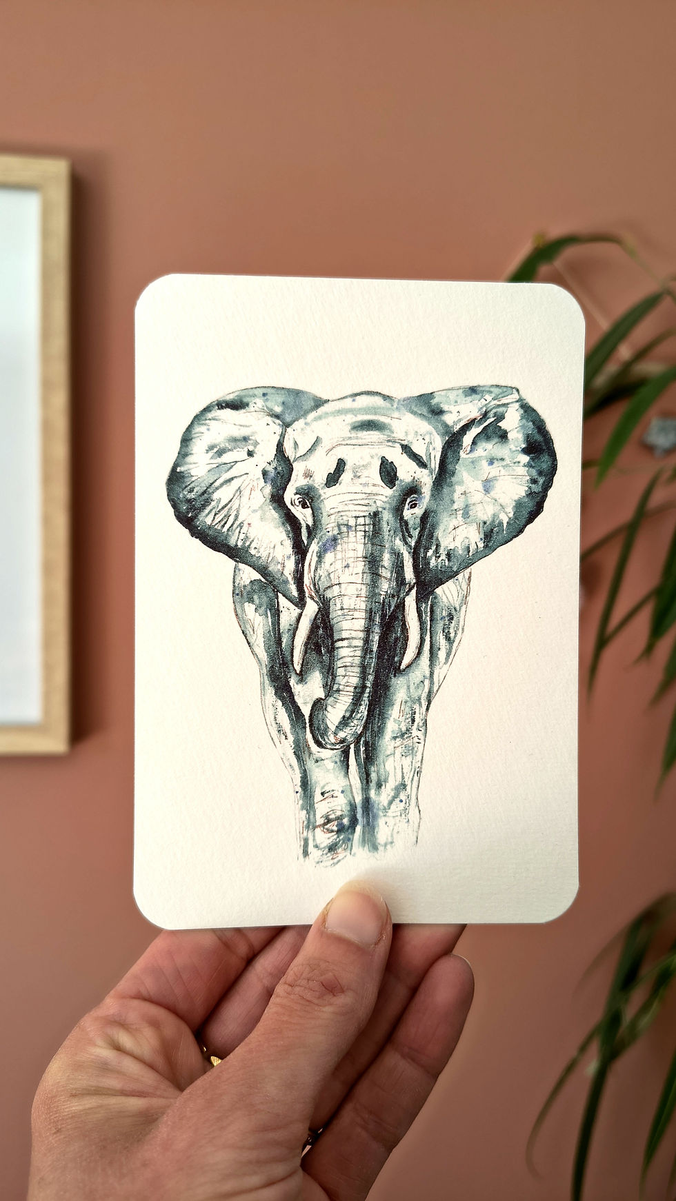 Miniature : Lot de 3 cartes postales "Essence sauvage"🦓🐯🐘
