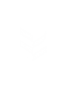 Copy of Copy of Sero Branding Moodboard