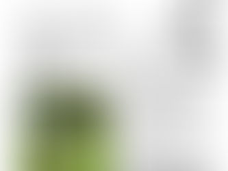 It's democracy, Jim, but not as we know it.. Exeter Living May 2017