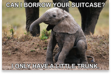 Voyager Memes Collection
