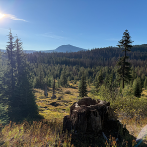 Living the Lord’s Prayer: Expanding God’s Kingdom Here and Now