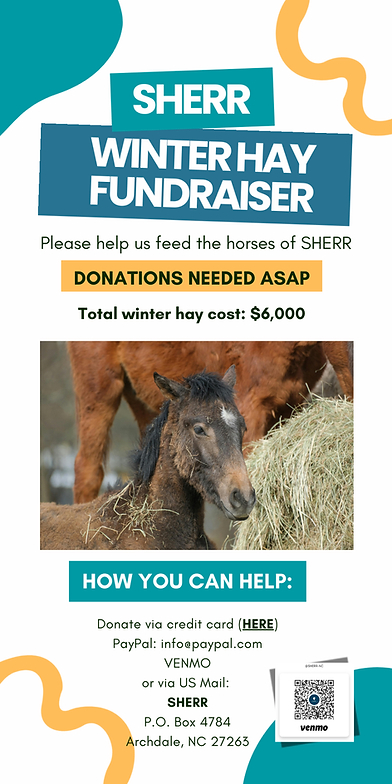 Untitled (10 x 20 in).png