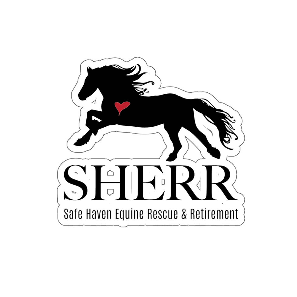 Thumbnail: SHERR horse decal