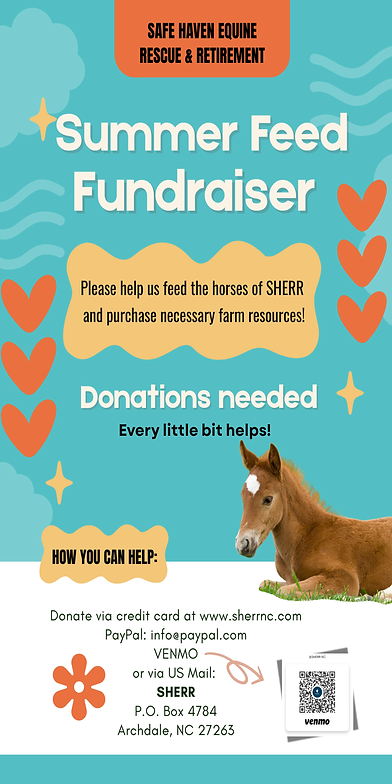 SHERR summer flyerweb2.png