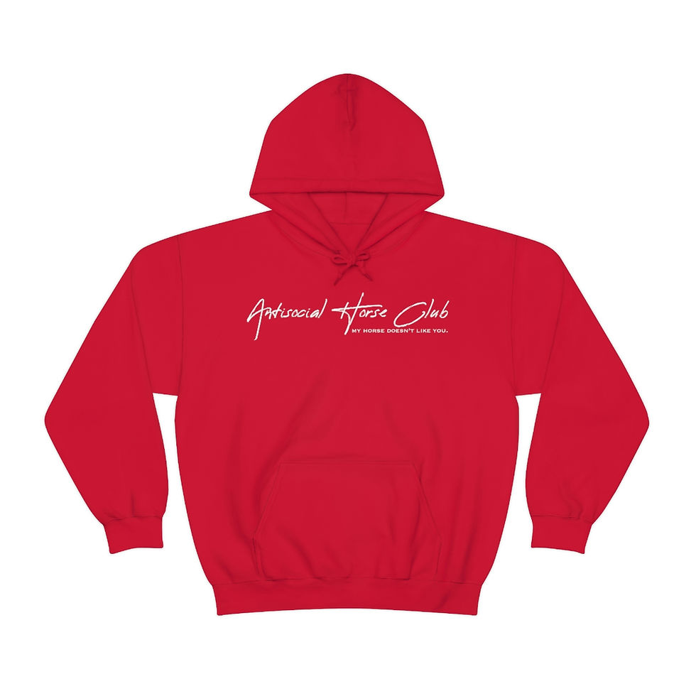 Thumbnail: Antisocial Horse Club hoodie