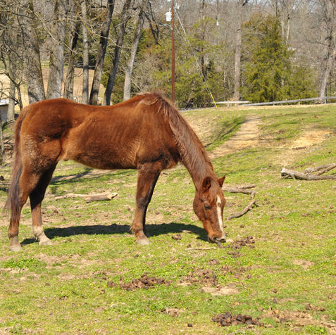 DSC_0064.jpeg