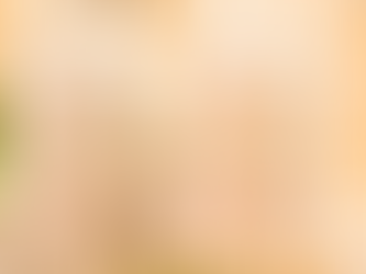 Soft Shell Holiday Savings for a Happy New Year  