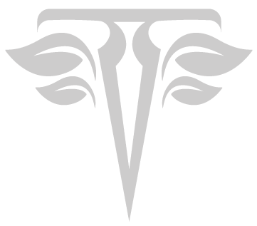 Titan Snap Cap Logo