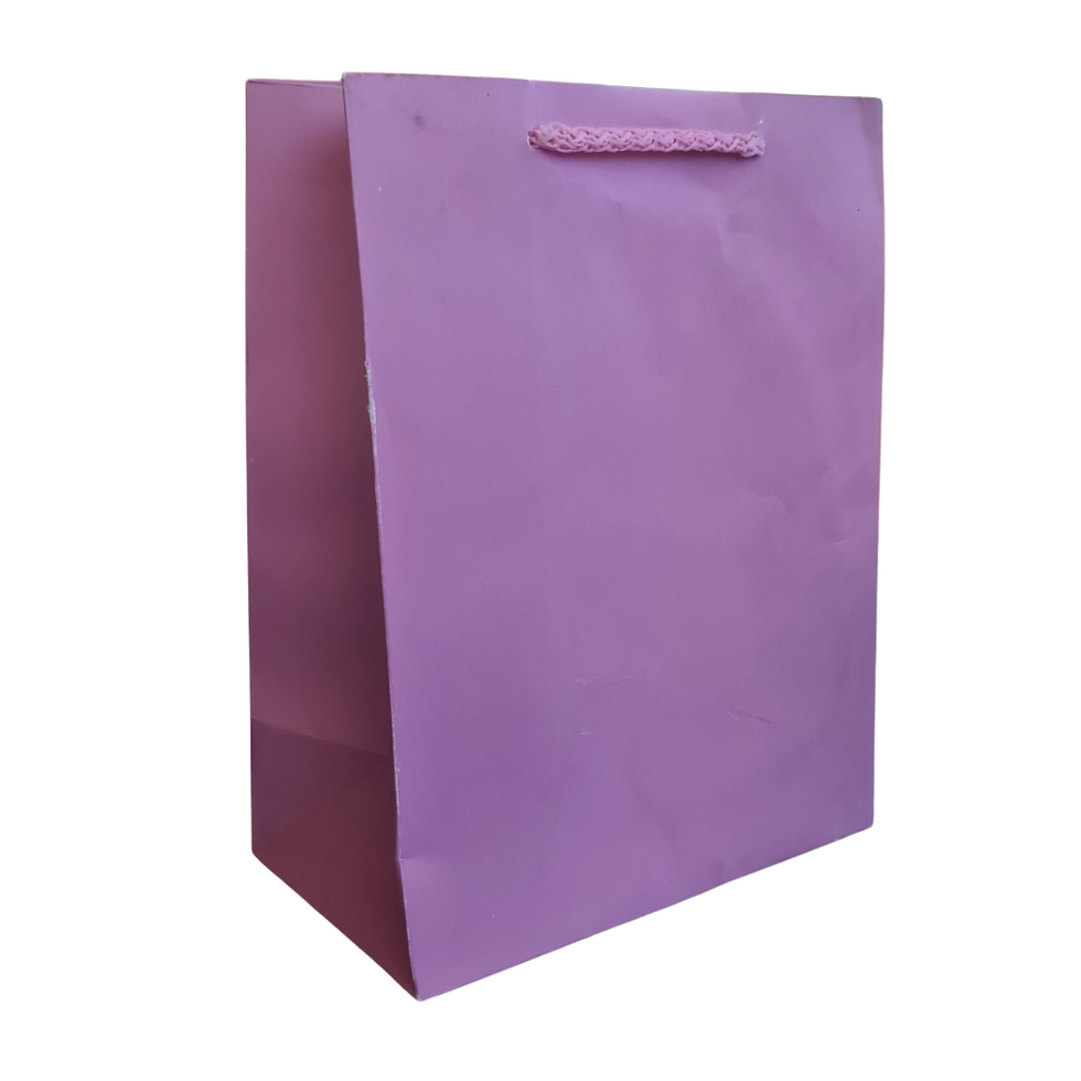 Miniatura: Bolsa de papel 15x20+8 vertical con asa