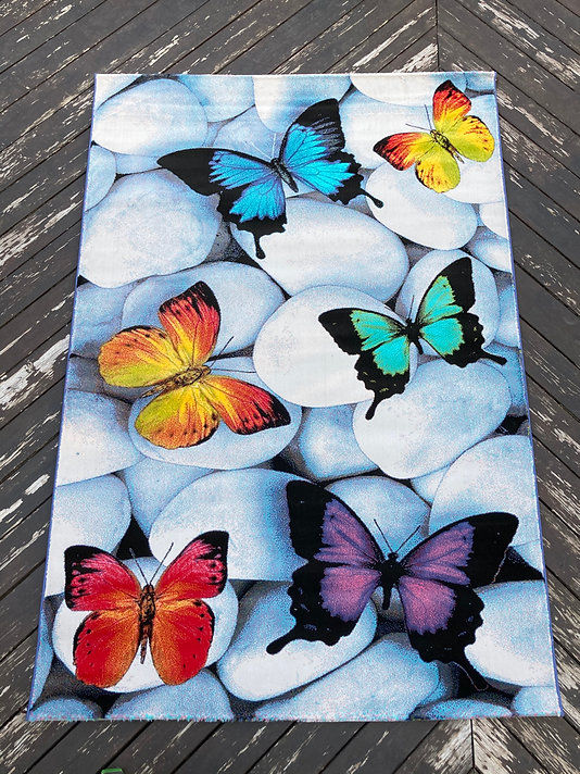 Barbara's Butterflies