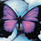 Thumbnail: Barbara's Butterflies