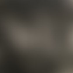        Ejemplar número Veintisiete