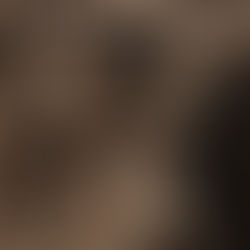          Ejemplar número Veinticuatro