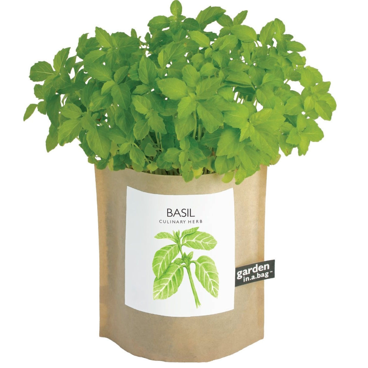 Garden in a Bag | Basil