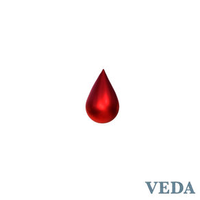 베다 (VEDA) - L.L.P