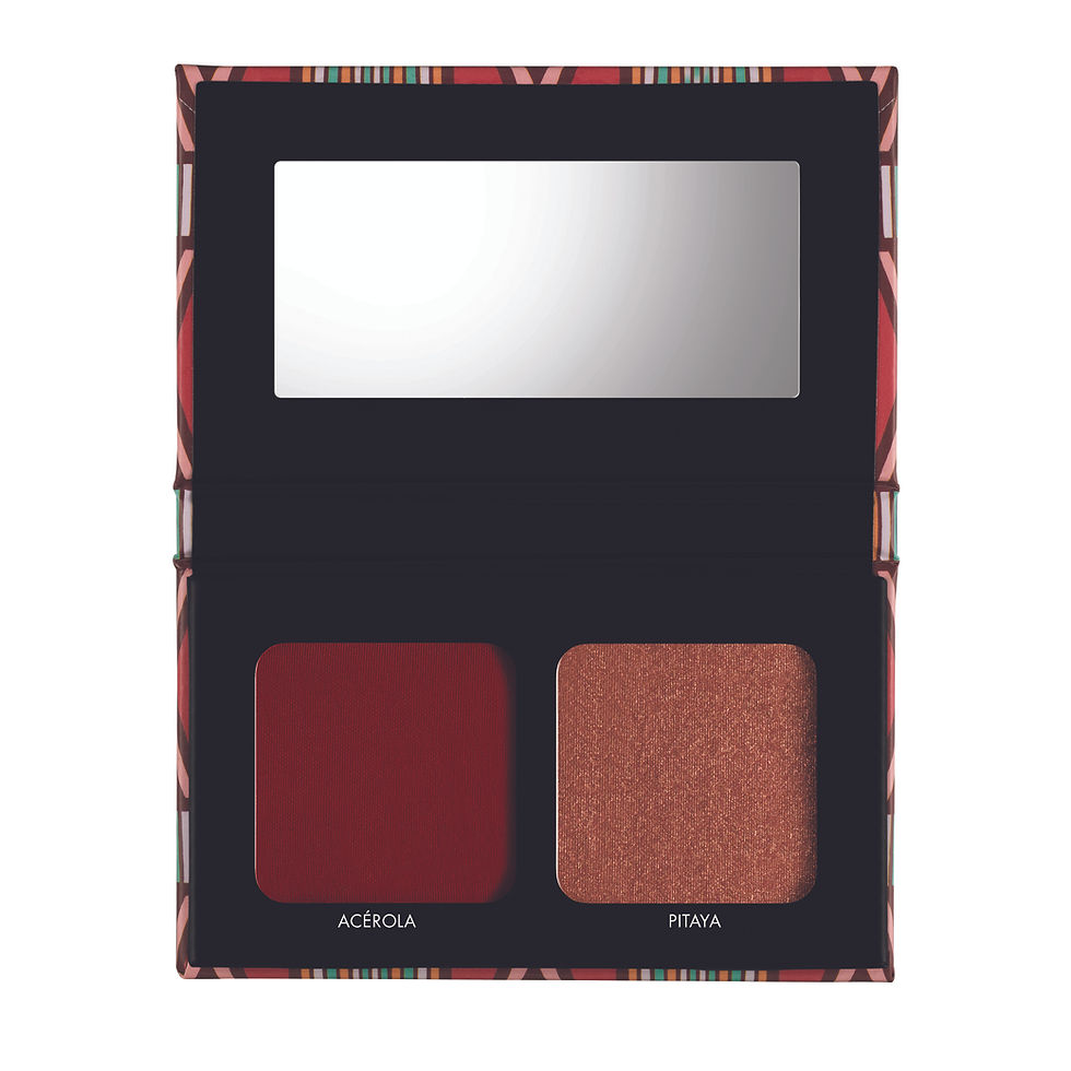 Thumbnail: Black Up Blush And Highlighter Duo N'02 WAXDUO02 3,1g