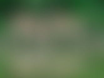 2022 Spring Meeting Minutes