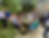 Screenshot 2024-12-13 at 13.17.52.png