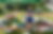Screenshot 2024-12-13 at 13.12.26.png