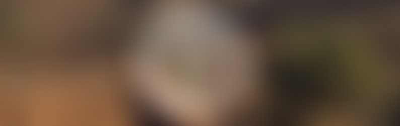 Affordable Housing Survey