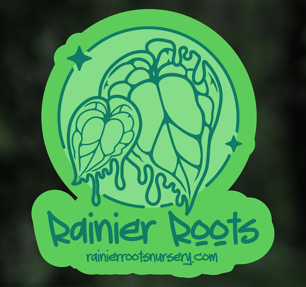Thumbnail: Rainier Roots Logo Tank Top | Melting Anthurium Illustration