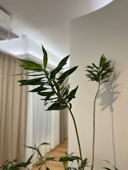 KakaoTalk_20220808_174802772_07