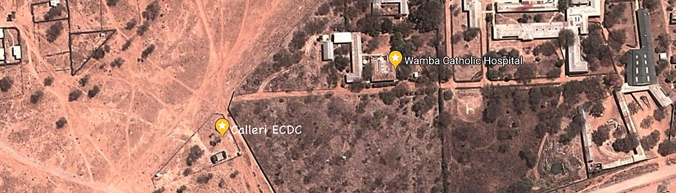 calleri ecdc maps.png
