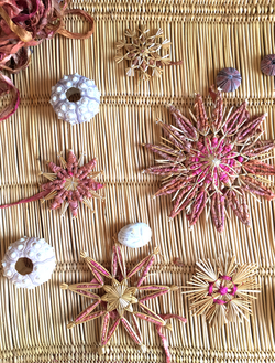 thepalmist_banner_sea corals