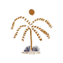 palm clem_edited.png