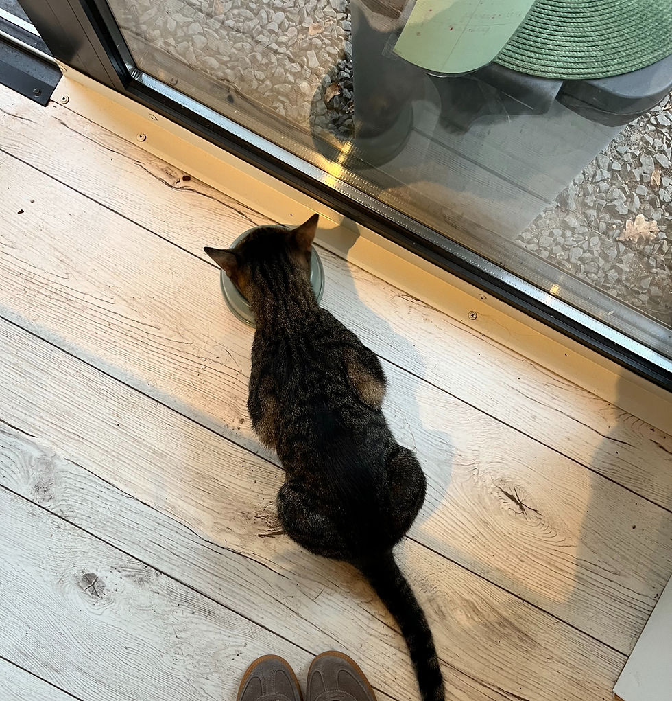 sarah-barna-dupe_edited