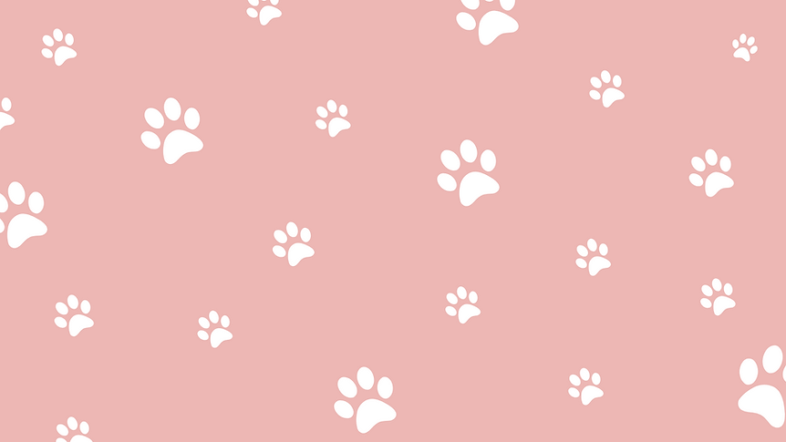 Pink Abstract Pet Shop Business Presentation.png