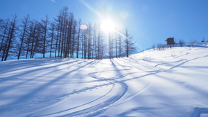 8月のオーストラリア ⛄